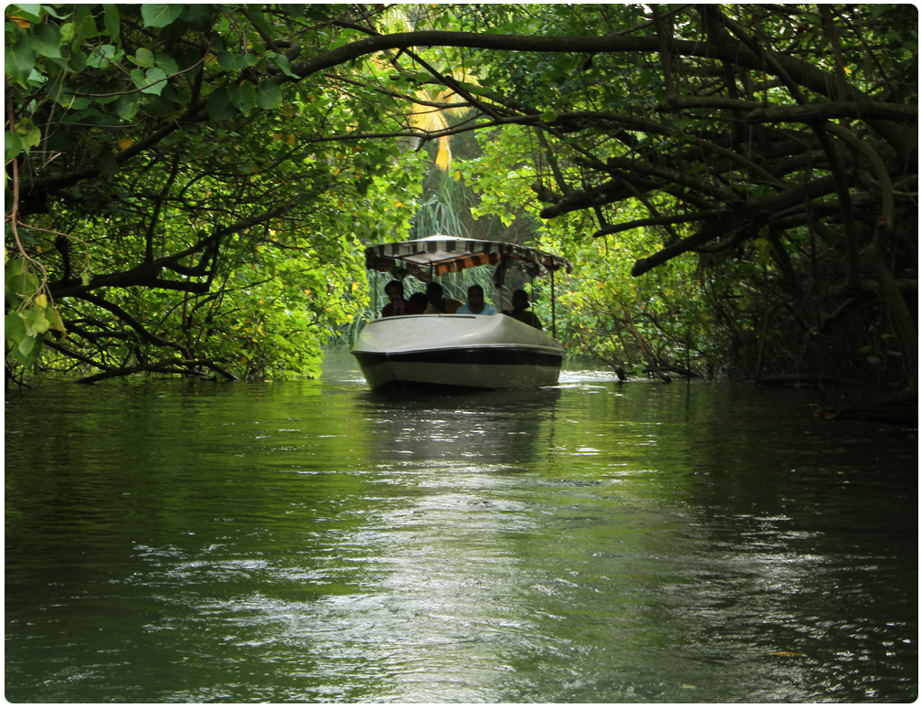Poovar Island Backwaters